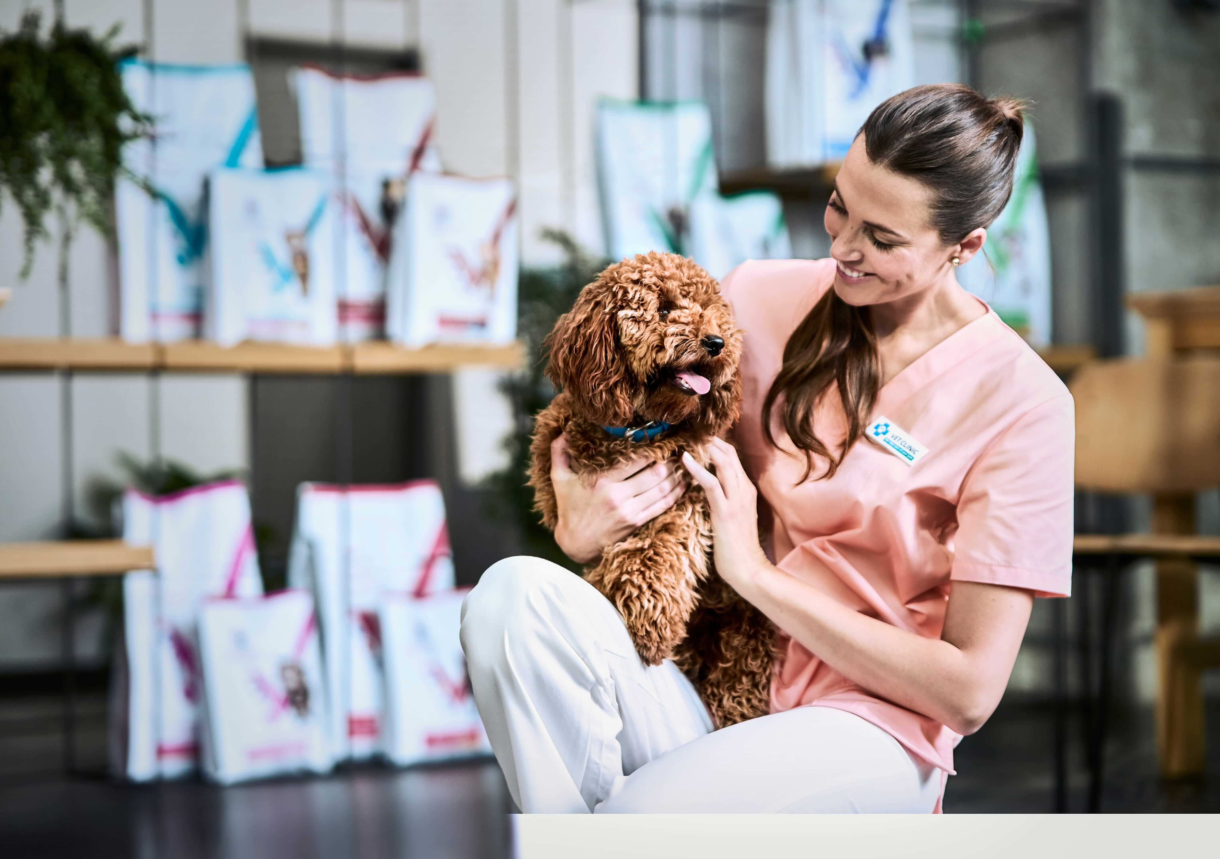 Katze greift nach Futternapf