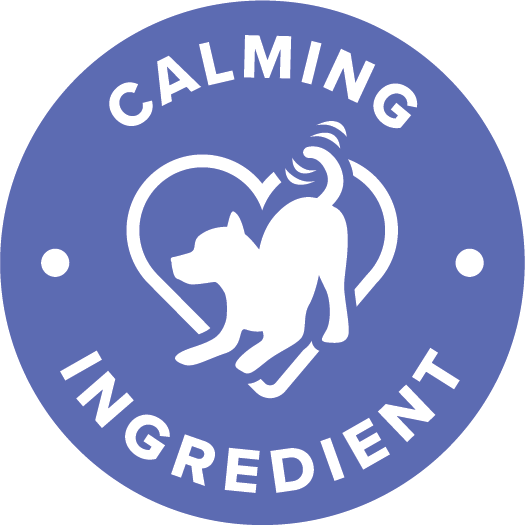 Icon Knochen- und Gelenkunterstützung