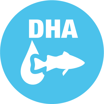 Icon Gehirn- und Augenentwicklung