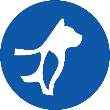 Icon Knochen- und Gelenkunterstützung