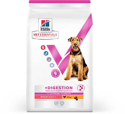 Hill’s Vet Essentials Dental Health Hundenahrung
