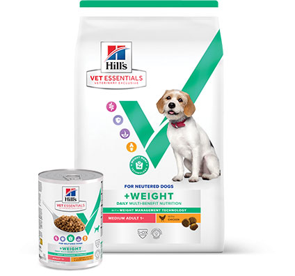 Hill’s Vet Essentials Hundenahrung für kastrierte Hunde