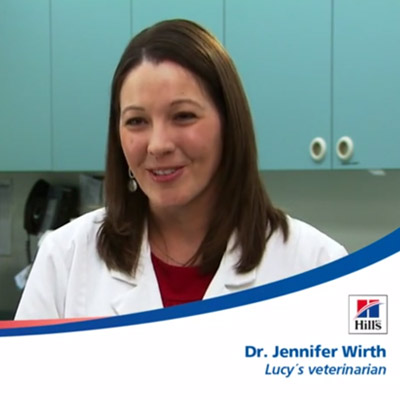 Testimonial-from-other-Vets-img